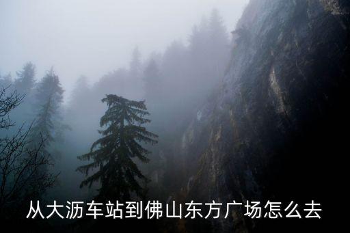 廣州大瀝到東方廣場，請問大瀝到東方廣場坐幾路車到