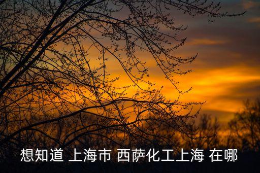 想知道 上海市 西薩化工上海 在哪