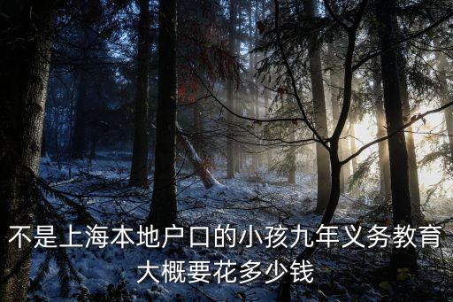 不是上海本地戶口的小孩九年義務(wù)教育大概要花多少錢