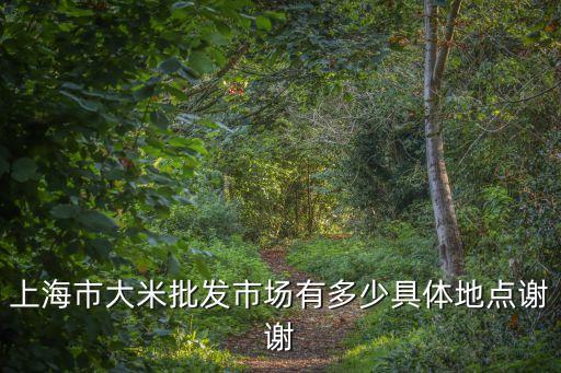 上海市南市區 流氓罪 寶興，上海市大米批發市場有多少具體地點謝謝