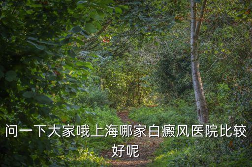 問一下大家哦上海哪家白癜風醫院比較好呢