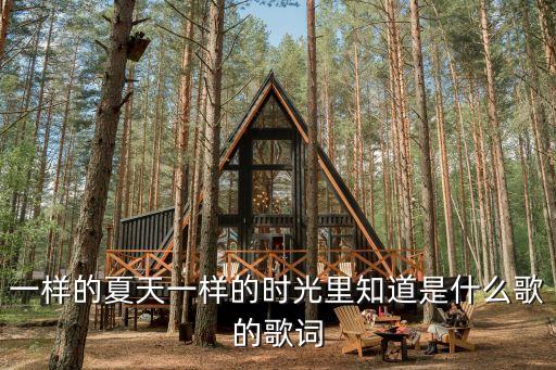一樣的夏天一樣的時光里知道是什么歌的歌詞