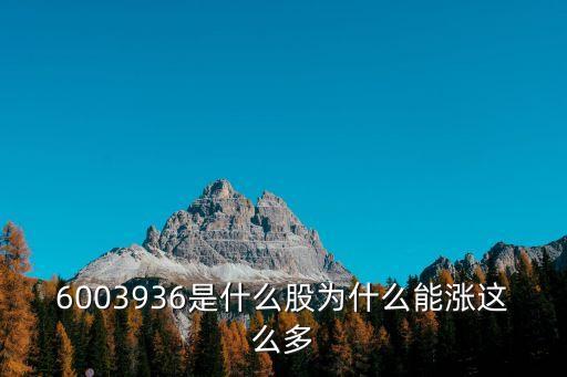 6003936是什么股為什么能漲這么多