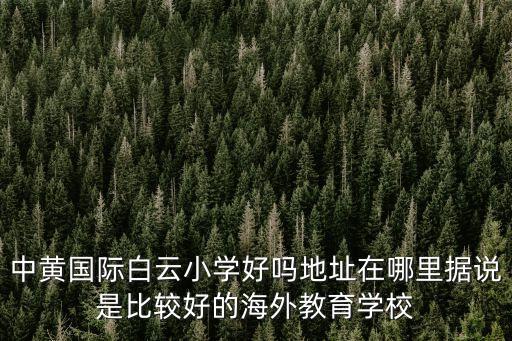 中黃國際白云小學好嗎地址在哪里據說是比較好的海外教育學校