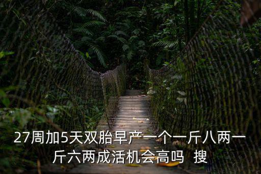 27周加5天雙胎早產一個一斤八兩一斤六兩成活機會高嗎  搜