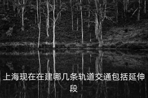 上海市軌道交通建設，上海現在在建哪幾條軌道交通包括延伸段