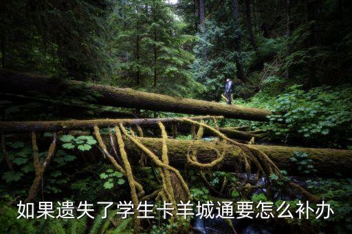 如果遺失了學(xué)生卡羊城通要怎么補辦