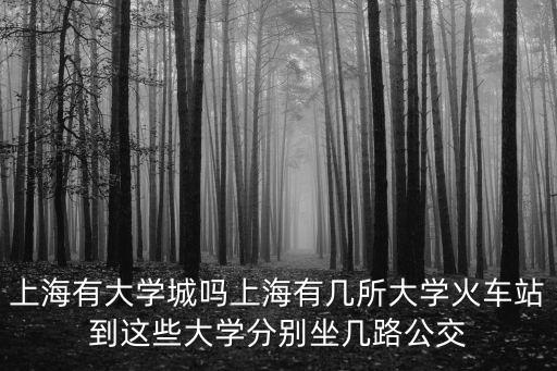 上海有大學城嗎上海有幾所大學火車站到這些大學分別坐幾路公交