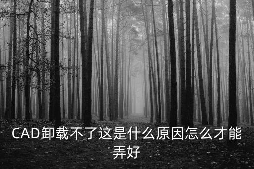 CAD卸載不了這是什么原因怎么才能弄好