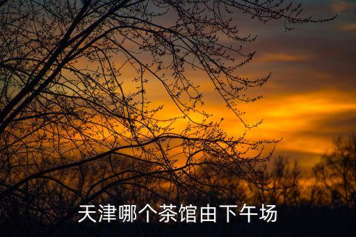 天津哪個(gè)茶館由下午場(chǎng)