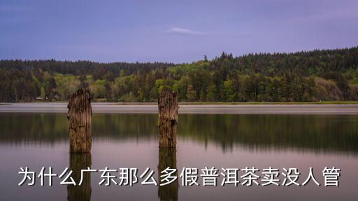 為什么廣東那么多假普洱茶賣沒人管