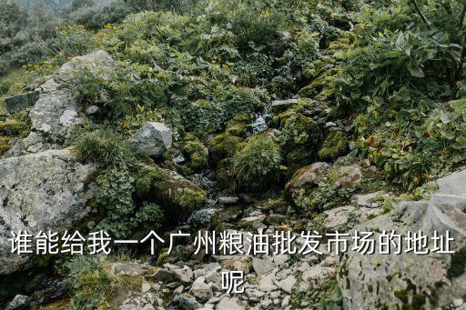 廣州市各大糧油批發(fā)市場位置，誰能給我一個廣州糧油批發(fā)市場的地址呢