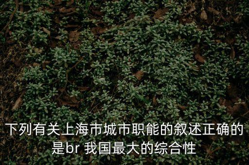 下列有關上海市城市職能的敘述正確的是br 我國最大的綜合性