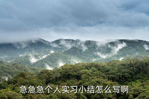 實(shí)習(xí)結(jié)果，實(shí)習(xí)小結(jié)怎么寫啊