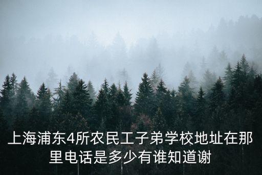上海浦東4所農民工子弟學校地址在那里電話是多少有誰知道謝