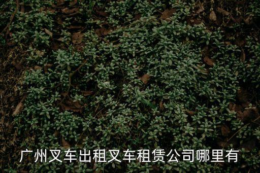 廣州叉車出租叉車租賃公司哪里有