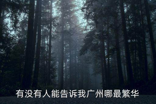 有沒有人能告訴我廣州哪最繁華