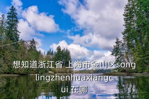 上海市金山區水利所地址，想知道浙江省 上海市金山區songlingzhenhuaxiangcui 在哪