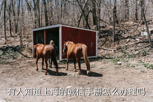上海市誠信手冊公眾號，上海市中小學德育網怎么上交作品