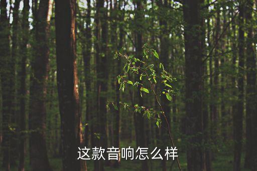 廣州澤田音響怎么樣，這款音響怎么樣