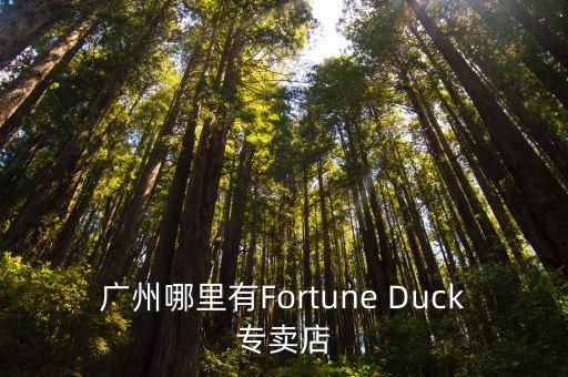 廣州必邁實體店，廣州哪里有Fortune Duck專賣店