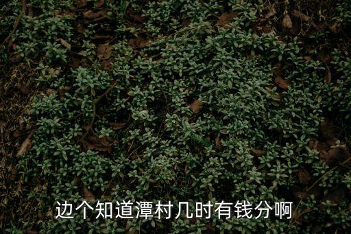 邊個知道潭村幾時有錢分啊