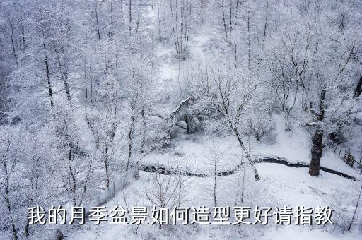 月季盆景，我的月季盆景如何造型更好請指教
