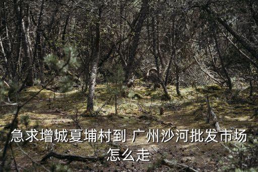 急求增城夏埔村到 廣州沙河批發市場怎么走