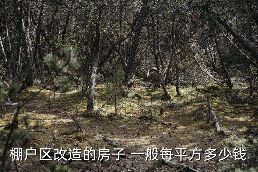 棚戶區(qū)改造的房子 一般每平方多少錢