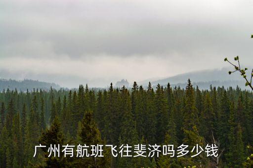廣州到斐濟飛機票價，廣州有航班飛往斐濟嗎多少錢