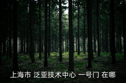 上海市 泛亞技術中心 一號門 在哪