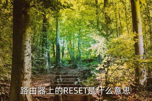 路由器上的RESET是什么意思