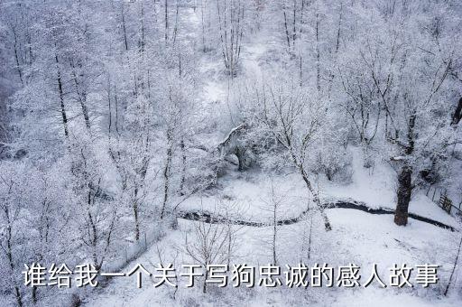 誰給我一個關于寫狗忠誠的感人故事