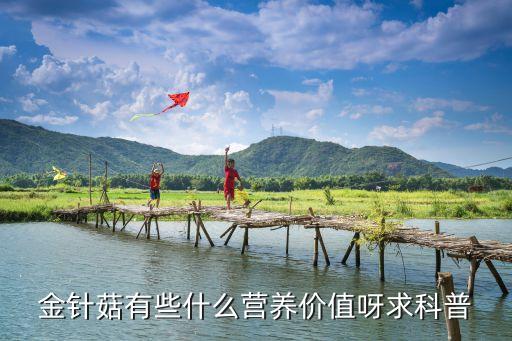 金針菇，金針菇是什么
