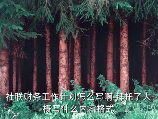 財(cái)務(wù)部工作計(jì)劃，個(gè)人財(cái)務(wù)工作計(jì)劃財(cái)務(wù)工作月計(jì)劃怎么寫