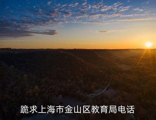 跪求上海市金山區(qū)教育局電話