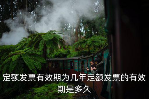 上海市定額發票使用年限，上海市定額專用發票2010年還能用嗎