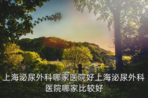 上海泌尿外科哪家醫(yī)院好上海泌尿外科醫(yī)院哪家比較好