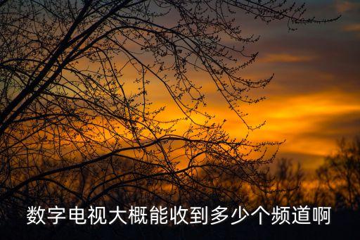 數字電視大概能收到多少個頻道啊