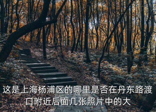 上海市楊浦濱江延申段最新消息，楊浦區濱江發展規劃