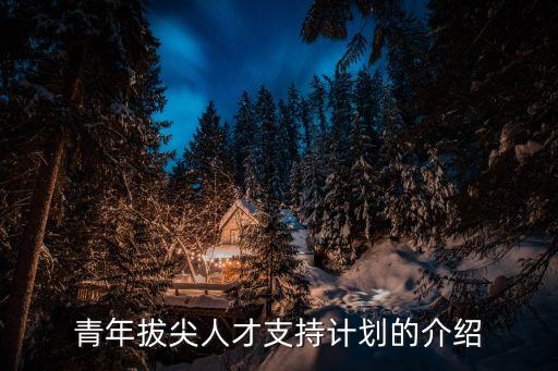 上海市中青年拔尖人才，青年拔尖人才支持計(jì)劃的介紹