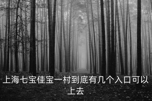 上海市佳寶新村的門牌號，上海七寶佳寶一村到底有幾個入口可以上去