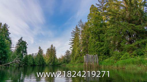 www21824219271