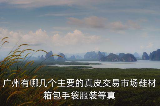 廣州有哪幾個主要的真皮交易市場鞋材箱包手袋服裝等真