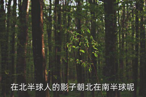 廣州大陽坡頤亭花園，為什么南枝向暖北枝寒一樣春風有兩般