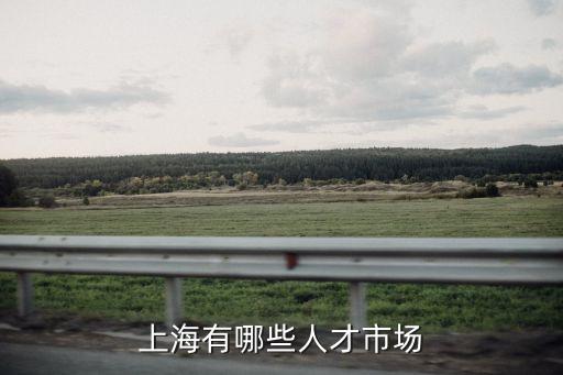 上海市人才市，上海有多少人才市場分別在什么地方
