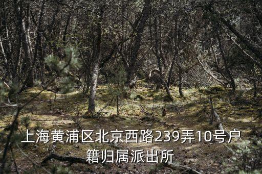 上海市北京路屬于哪個派出所，上海黃浦區(qū)北京西路239弄10號戶籍歸屬派出所