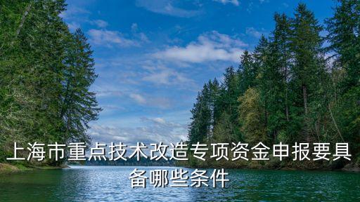 上海市重點技術改造專項資金申報要具備哪些條件