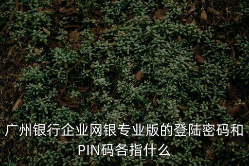 廣州銀行企業(yè)網(wǎng)銀專業(yè)版的登陸密碼和PIN碼各指什么