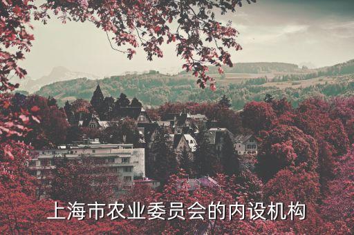 上海市農委姓樓的，上海市的面積是6340平方千米嗎